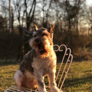 Meet your Posher, Kiara